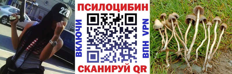 Псилоцибиновые грибы ЛСД Каспийск